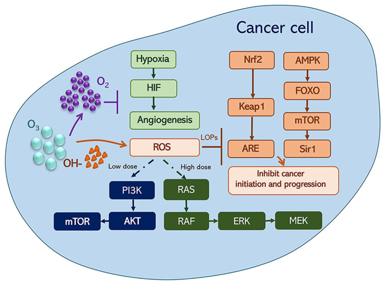 Ozone Therapy Cancer